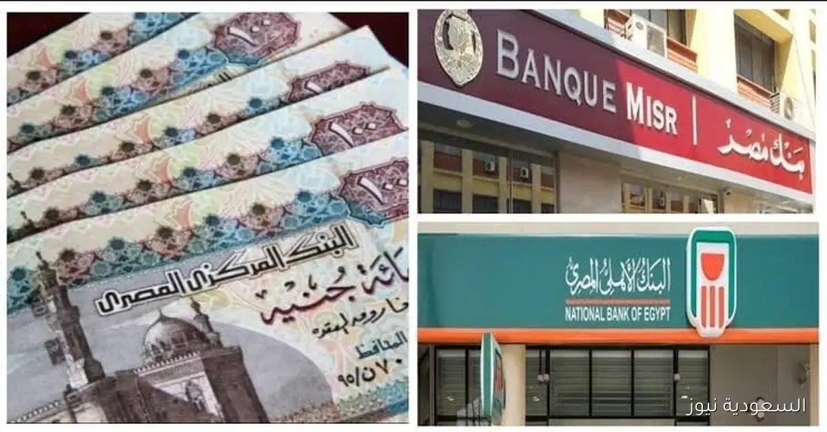 أفضل الشهادات البنكية للاستثمار بعد انخفاض أسعار الفائدة