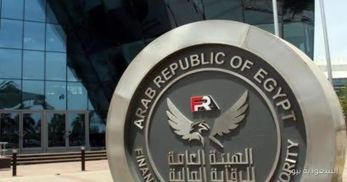 الرقابة المالية تفرض على اتحاد التمويل الاستهلاكي إعداد قائمة حظر للجهات التي تقوم بالتسييل النقدي