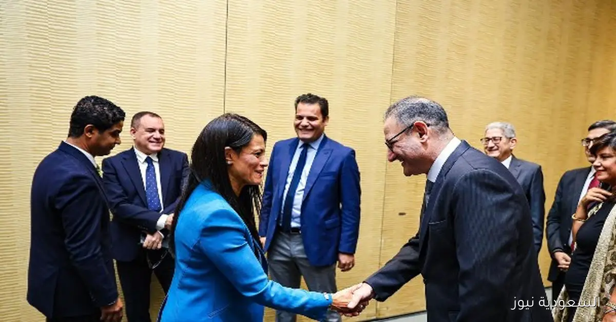 المشاط تؤكد أن تقدم مصر في مؤشر التعقيد الاقتصادي يعكس قدرات قوية للتحول إلى القطاعات الأكثر إنتاجية