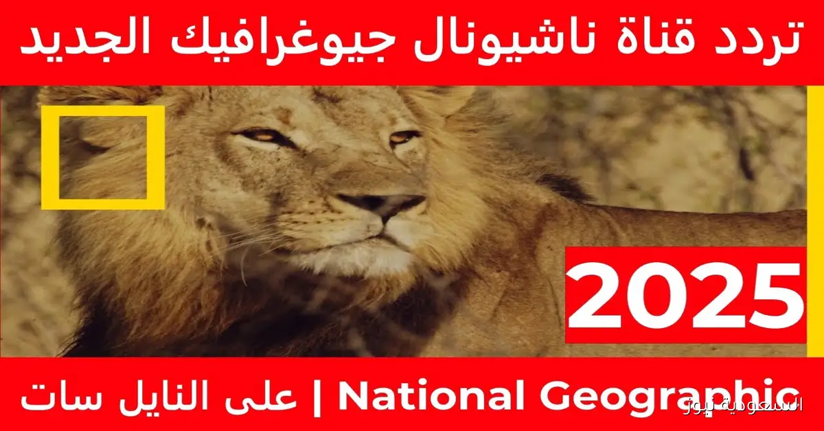 تردد ناشيونال جيوغرافيك 2025 الجديد بجودة HD على النايل والعرب سات