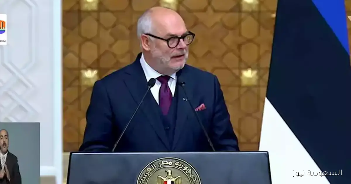 رئيس إستونيا يؤكد على ضرورة جعل الدفاع الجوي أولوية في حلف الناتو