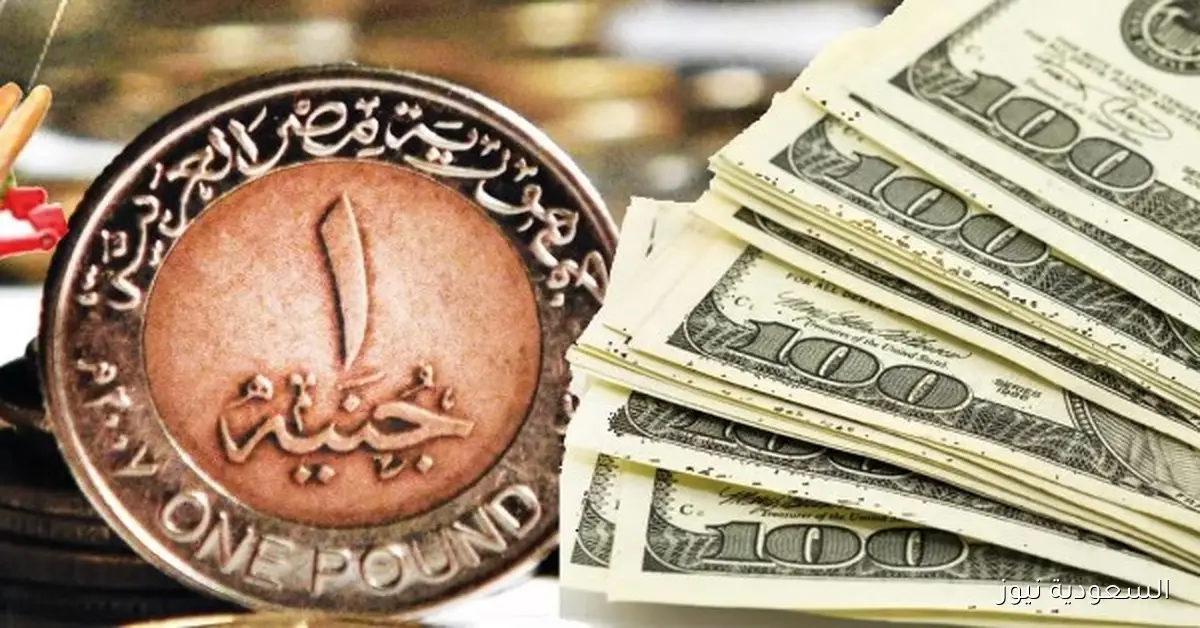 سعر الدولار مقابل الجنيه في البنوك اليوم السبت 20 سبتمبر 2025