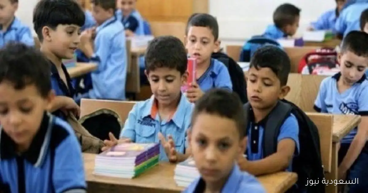 اليوم العالمي للمعلم: مدرس لكل 28 تلميذاً في مصر للعام الدراسي 2024/2025