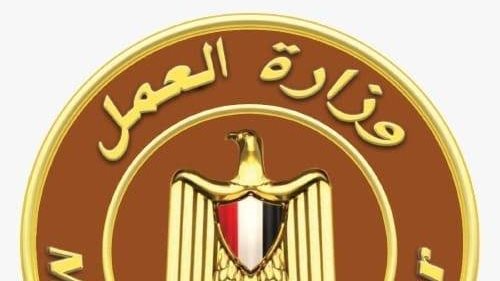 بيان عاجل من وزارة العمل حول تصريحات الوزير بشأن زيادة الأجور “تُداولت بشكل غير دقيق”