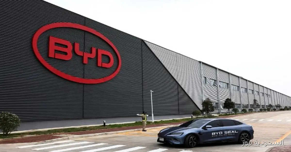 رغم التراجع الشهري.. نمو 18.6% في مبيعات سيارات BYD لعام 2025