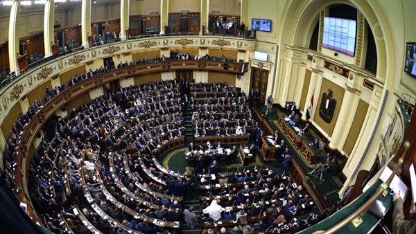 مجلس الدولة يدعم قرار الوطنية للانتخابات باستبعاد مرشحة للبرلمان بالعمرانية بسبب عدم لياقتها الصحية