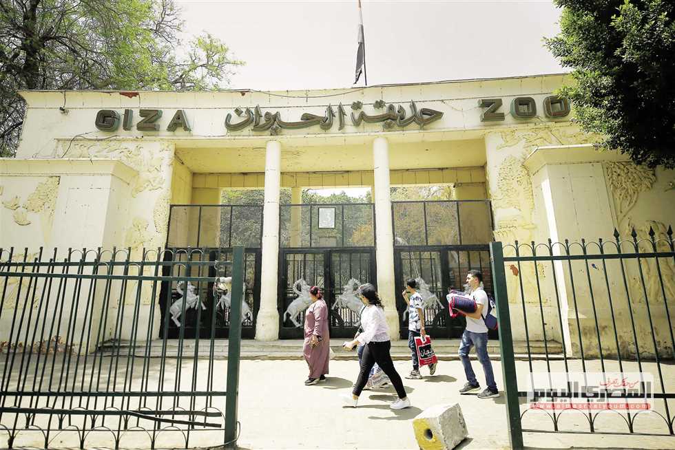 العد التنازلي بدأ.. حديقة الحيوان بالجيزة هتفتح أبوابها بعد التطوير الكامل
