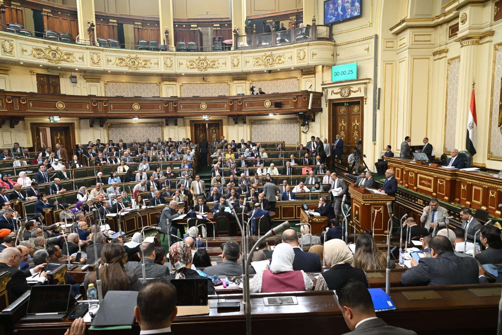 جدول انتخابي جديد وعودة للمشهد السياسي.. الإجراءات المتوقعة بعد إلغاء العديد من الدوائر