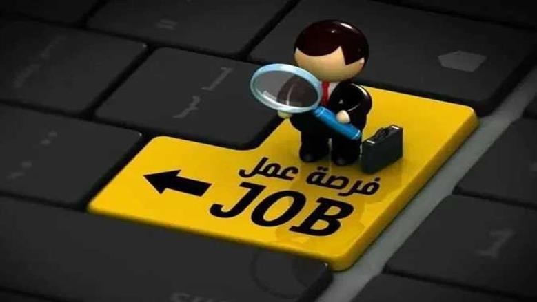 فرص عمل للشباب برواتب مغرية ومزايا متعددة، تعرف على الشروط والتخصصات المتاحة