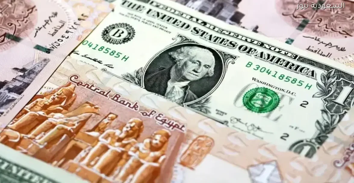 سعر الدولار في البنوك المصرية اليوم الأحد 21 ديسمبر 2025 بالتفصيل