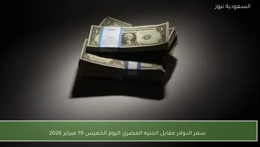 سعر الدولار مقابل الجنيه المصري اليوم الخميس 19 فبراير 2026