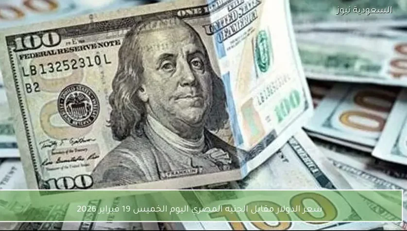 سعر الدولار مقابل الجنيه المصري اليوم الخميس 19 فبراير 2026