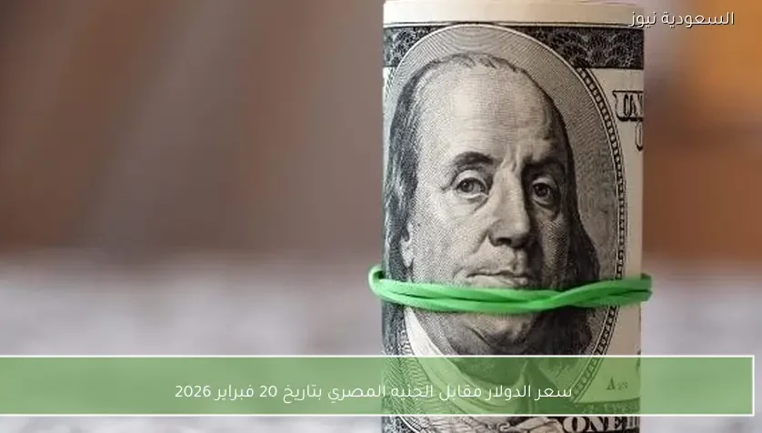 سعر الدولار مقابل الجنيه المصري بتاريخ 20 فبراير 2026