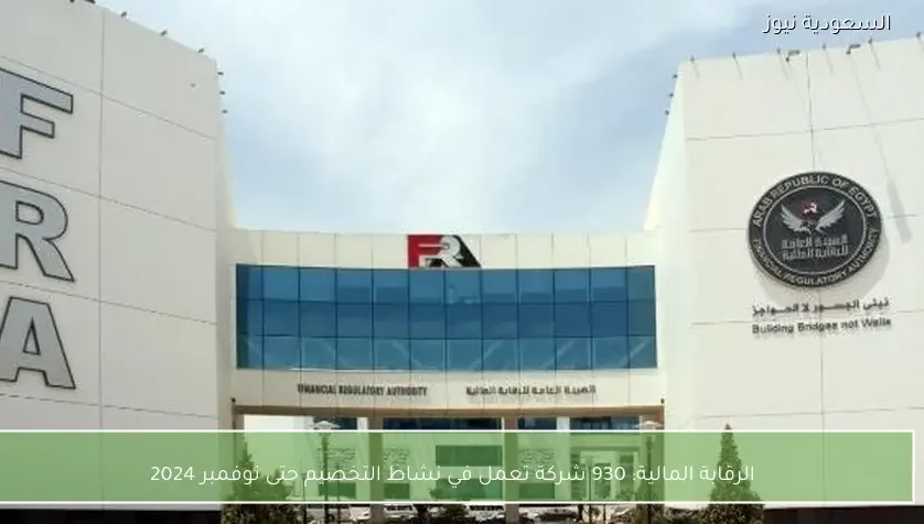 الرقابة المالية: 930 شركة تعمل في نشاط التخصيم حتى نوفمبر 2024