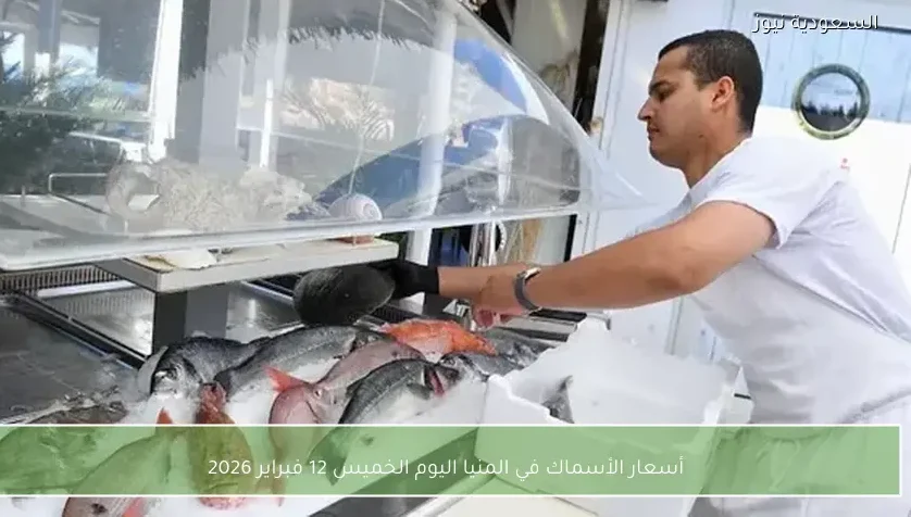 أسعار الأسماك في المنيا اليوم الخميس 12 فبراير 2026
