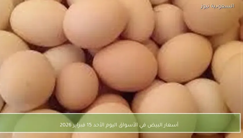 أسعار البيض في الأسواق اليوم الأحد 15 فبراير 2026