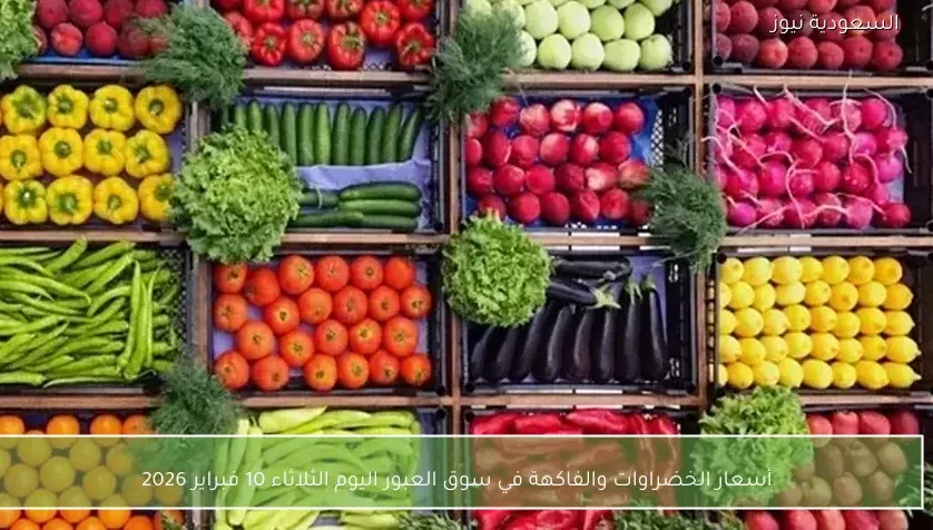 أسعار الخضراوات والفاكهة في سوق العبور اليوم الثلاثاء 10 فبراير 2026
