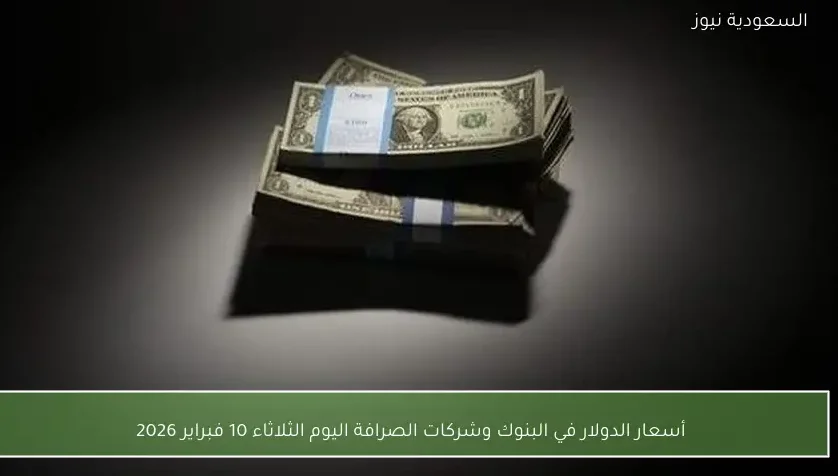 أسعار الدولار في البنوك وشركات الصرافة اليوم الثلاثاء 10 فبراير 2026