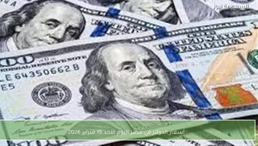 أسعار الدولار في مصر اليوم الأحد 15 فبراير 2026