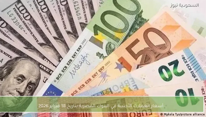 أسعار العملات الأجنبية في البنوك المصرية بتاريخ 18 فبراير 2026