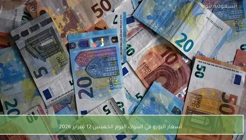 أسعار اليورو في البنوك اليوم الخميس 12 فبراير 2026