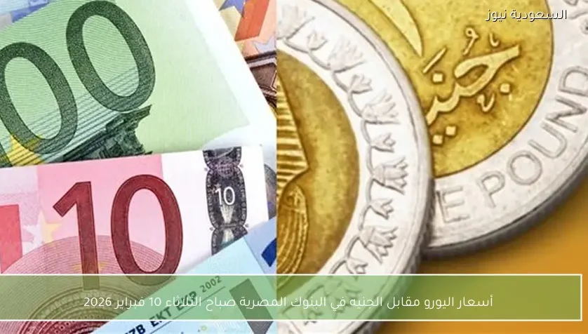 أسعار اليورو مقابل الجنيه في البنوك المصرية صباح الثلاثاء 10 فبراير 2026
