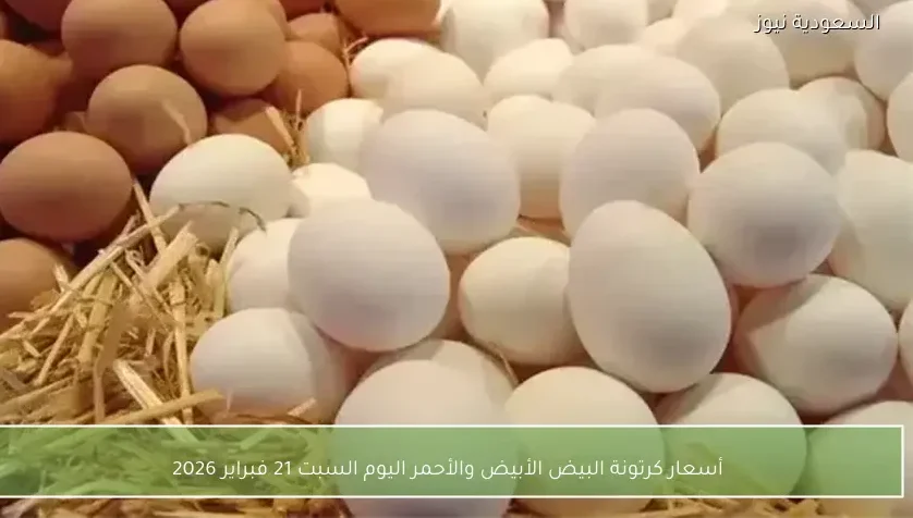 أسعار كرتونة البيض الأبيض والأحمر اليوم السبت 21 فبراير 2026
