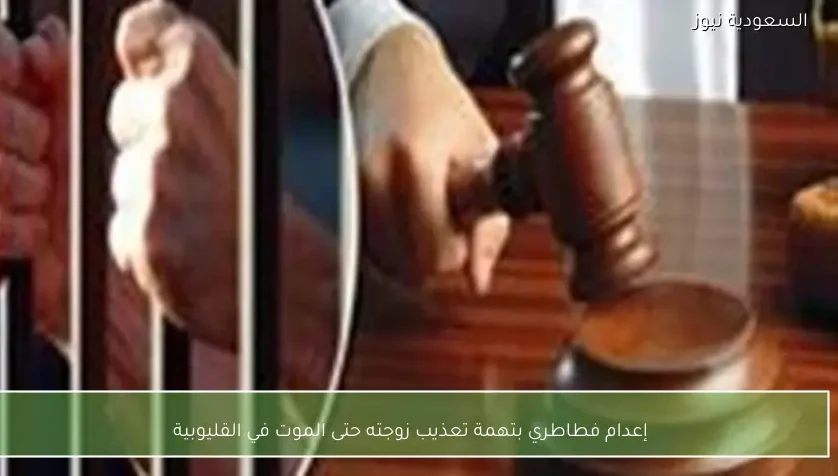 إعدام فطاطري بتهمة تعذيب زوجته حتى الموت في القليوبية