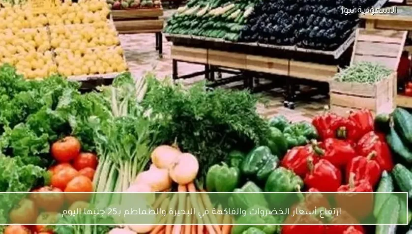 ارتفاع أسعار الخضروات والفاكهة في البحيرة والطماطم بـ25 جنيها اليوم