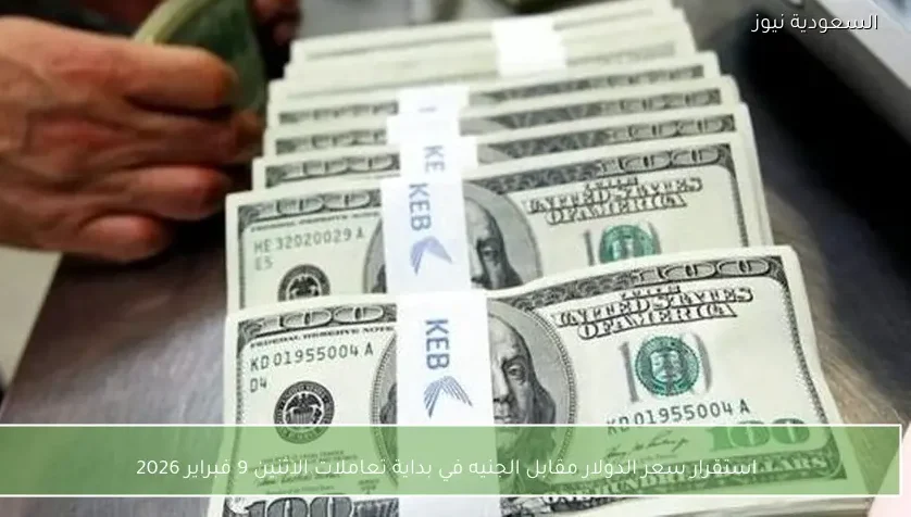 استقرار سعر الدولار مقابل الجنيه في بداية تعاملات الاثنين 9 فبراير 2026