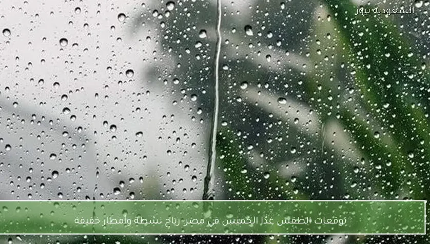 توقعات الطقس غدًا الخميس في مصر: رياح نشطة وأمطار خفيفة