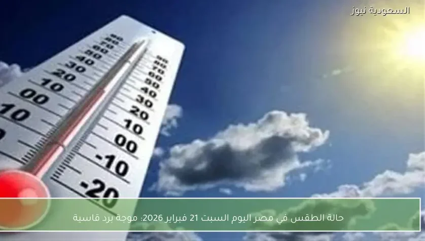 حالة الطقس في مصر اليوم السبت 21 فبراير 2026: موجة برد قاسية
