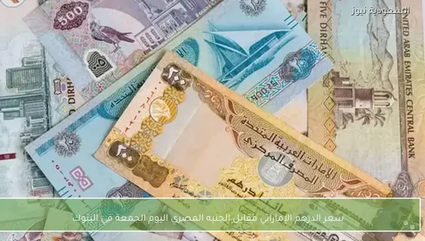سعر الدرهم الإماراتي مقابل الجنيه المصري اليوم الجمعة في البنوك