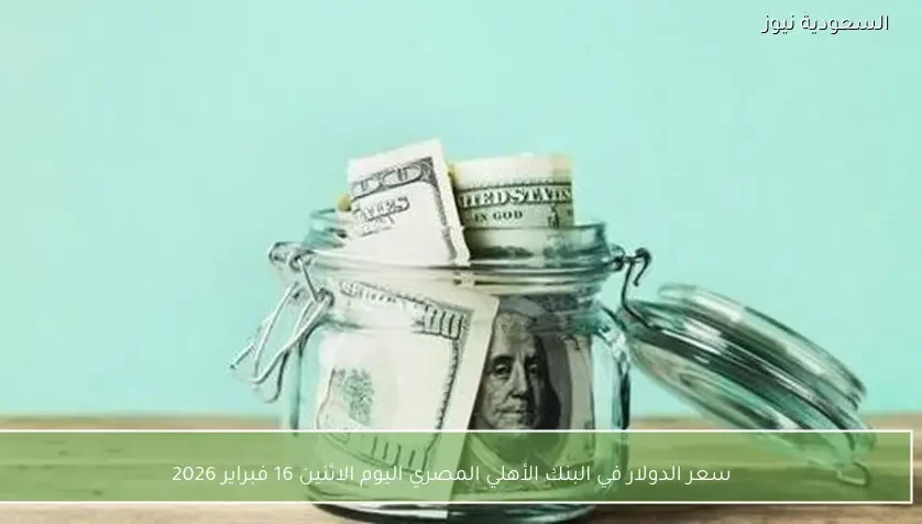 سعر الدولار في البنك الأهلي المصري اليوم الاثنين 16 فبراير 2026