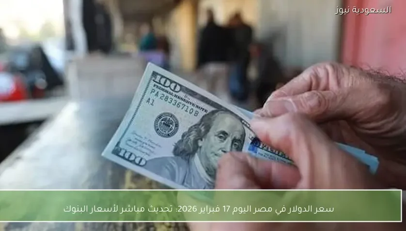 سعر الدولار في مصر اليوم 17 فبراير 2026: تحديث مباشر لأسعار البنوك