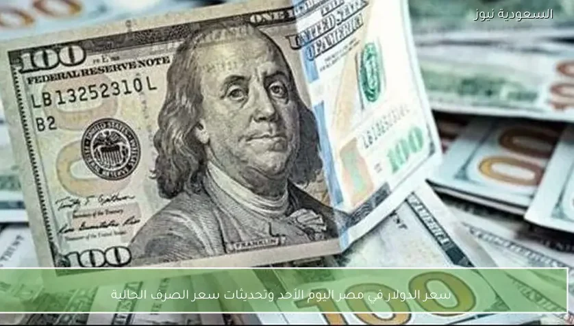 سعر الدولار في مصر اليوم الأحد وتحديثات سعر الصرف الحالية