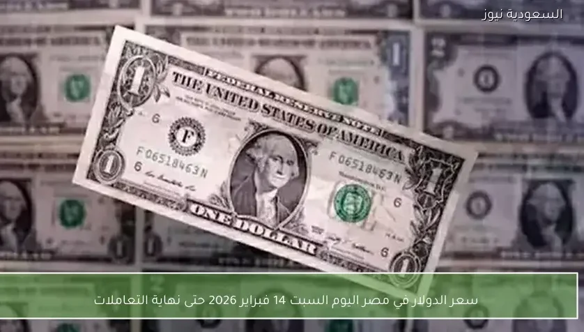 سعر الدولار في مصر اليوم السبت 14 فبراير 2026 حتى نهاية التعاملات