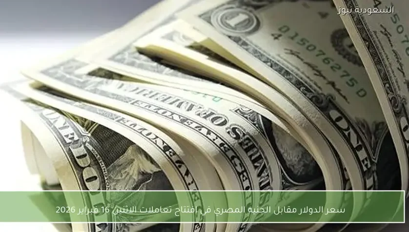 سعر الدولار مقابل الجنيه المصري في افتتاح تعاملات الاثنين 16 فبراير 2026