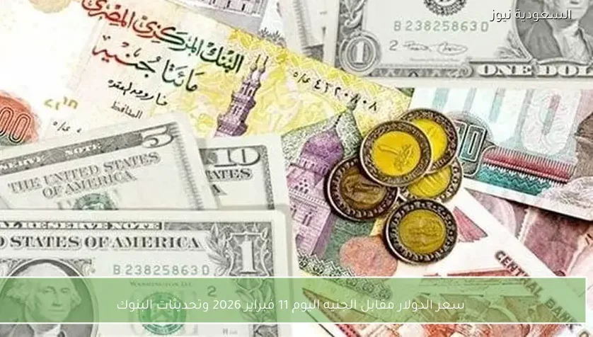 سعر الدولار مقابل الجنيه اليوم 11 فبراير 2026 وتحديثات البنوك