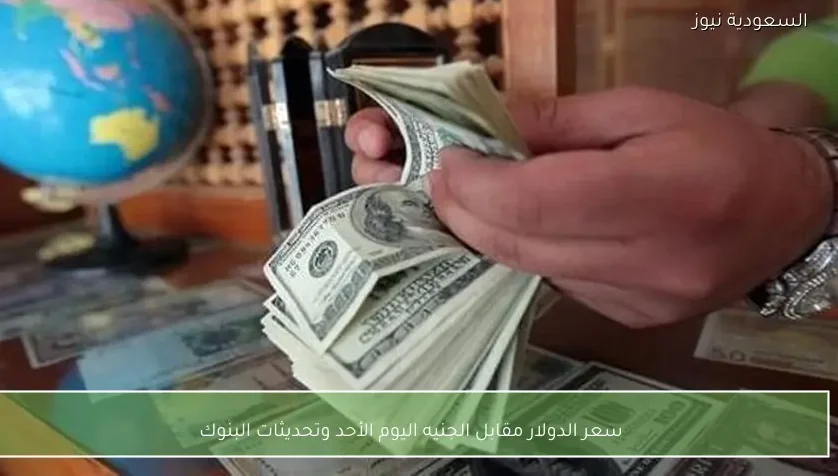 سعر الدولار مقابل الجنيه اليوم الأحد وتحديثات البنوك