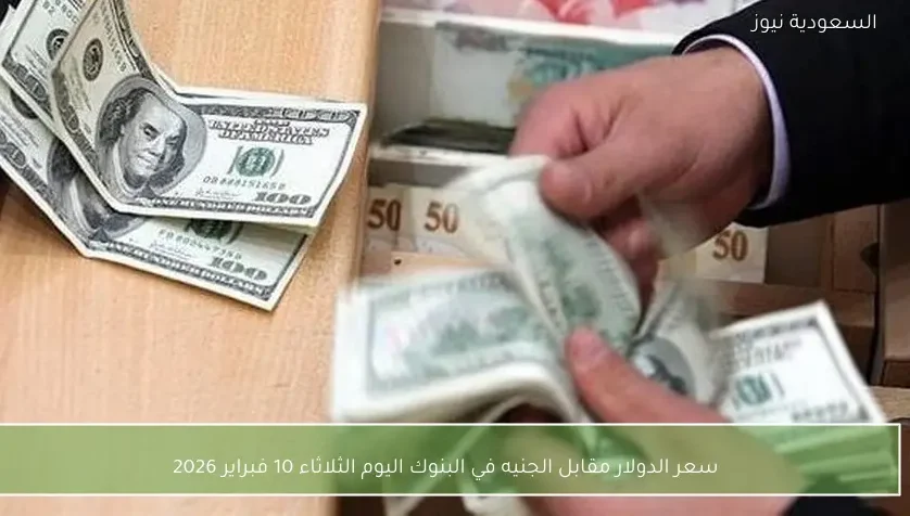 سعر الدولار مقابل الجنيه في البنوك اليوم الثلاثاء 10 فبراير 2026