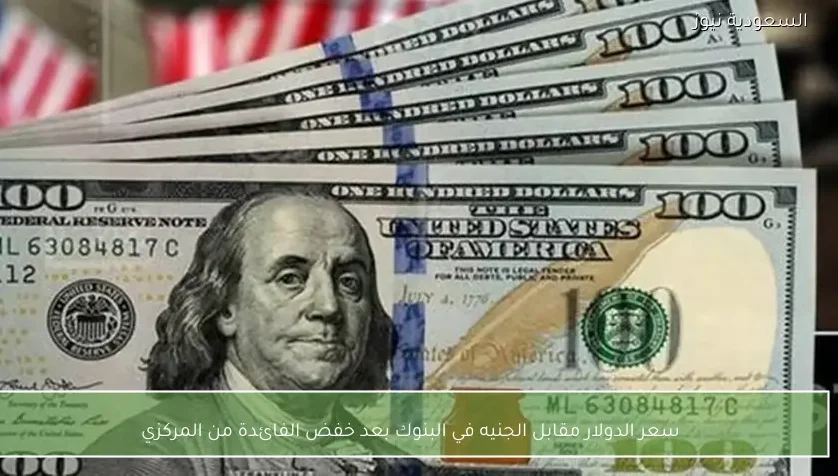 سعر الدولار مقابل الجنيه في البنوك بعد خفض الفائدة من المركزي