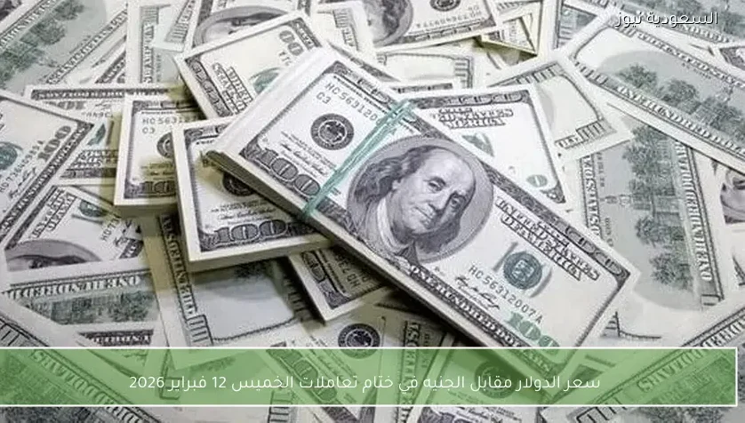 سعر الدولار مقابل الجنيه في ختام تعاملات الخميس 12 فبراير 2026