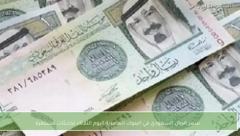 سعر الريال السعودي في البنوك المصرية اليوم الثلاثاء تحديثات مستمرة