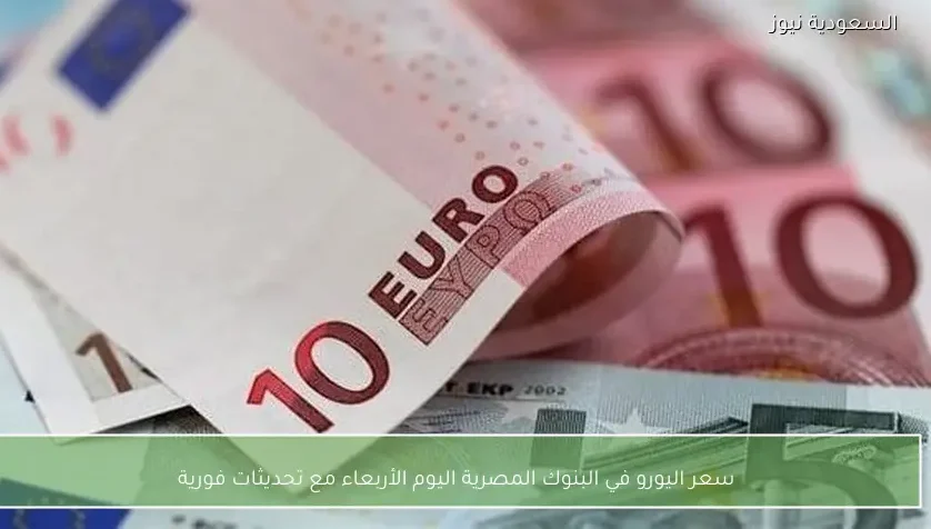 سعر اليورو في البنوك المصرية اليوم الأربعاء مع تحديثات فورية