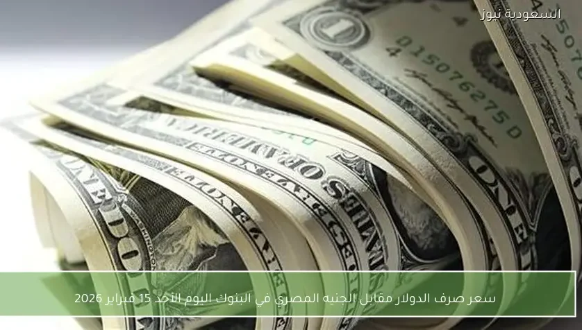 سعر صرف الدولار مقابل الجنيه المصري في البنوك اليوم الأحد 15 فبراير 2026