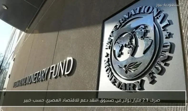 صرف 2.3 مليار دولار من صندوق النقد دعم للاقتصاد المصري حسب خبير