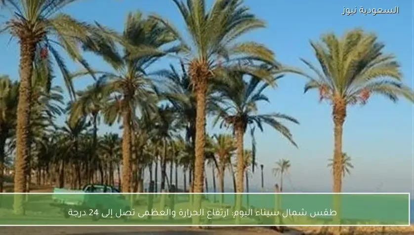 طقس شمال سيناء اليوم: ارتفاع الحرارة والعظمى تصل إلى 24 درجة