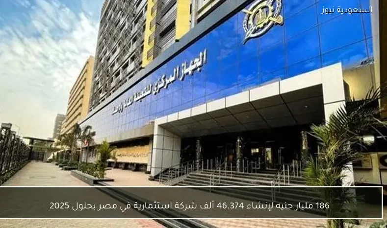 186 مليار جنيه لإنشاء 46.374 ألف شركة استثمارية في مصر بحلول 2025