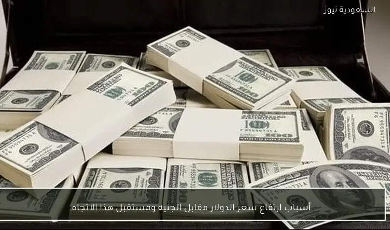 أسباب ارتفاع سعر الدولار مقابل الجنيه ومستقبل هذا الاتجاه